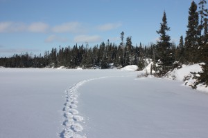 Boundary Waters Snowshoe