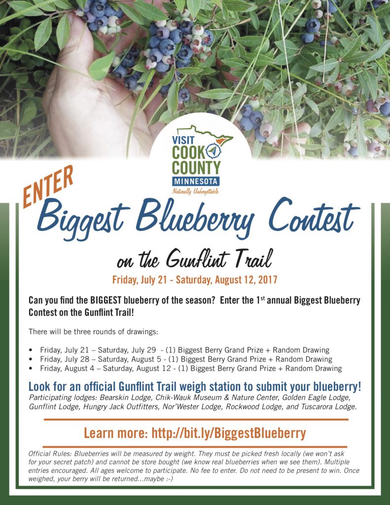 blueberry picking on the Gunflint Trail